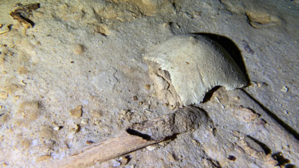 Kostur Star Oko 8.000 Godina Otkriven u Podvodnim Pećinama na Karipskoj Obali Meksika