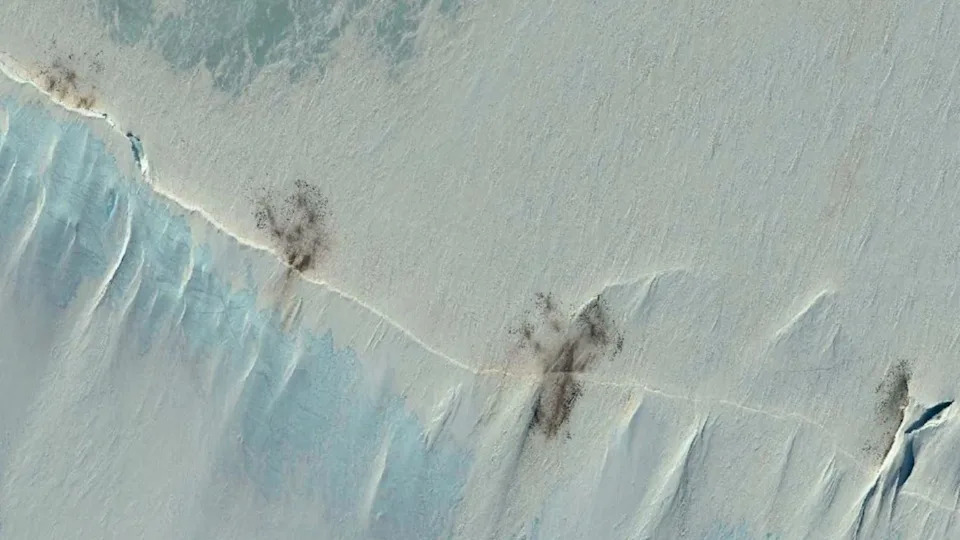 Godišnje linjanje carevskih pingvina: Kako pad morskog leda preti da ih uništi