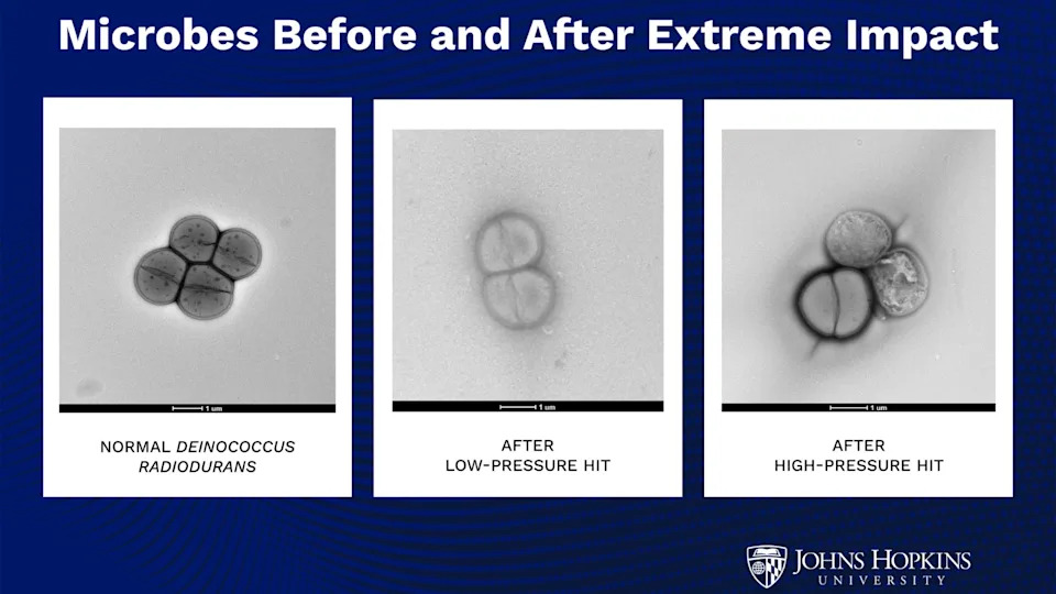 Da Li Je Život Na Zemlji Potekao Sa Marsa? Nova Studija Pokazuje Da Bakterije Mogu Preživeti Udare Koji Izbacuju Materijal U Svemir