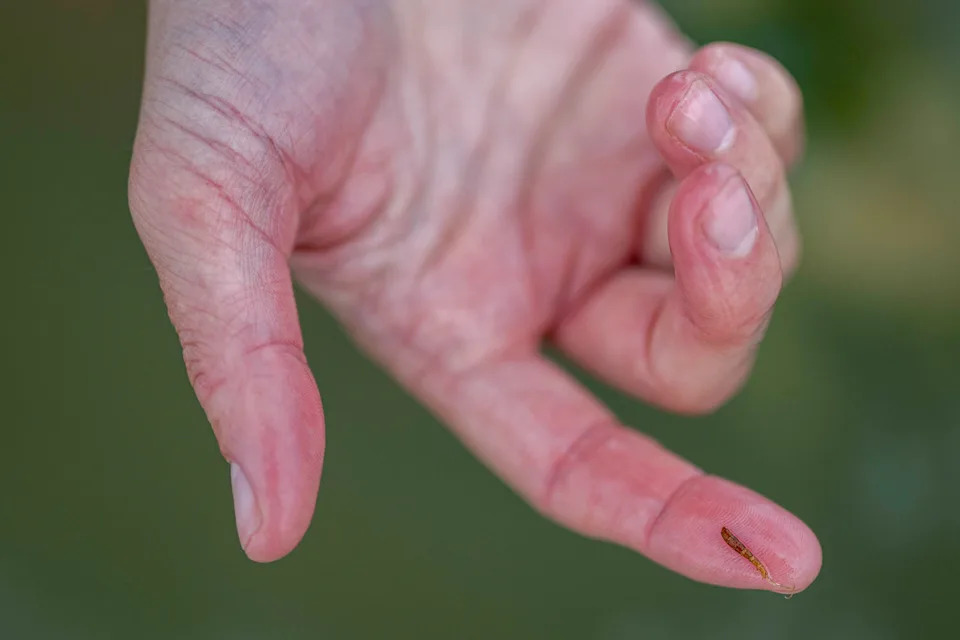 Ambiciozni plan: Napuniti Veliko slano jezero do 2034. — Može li se spasiti pre Olimpijade?