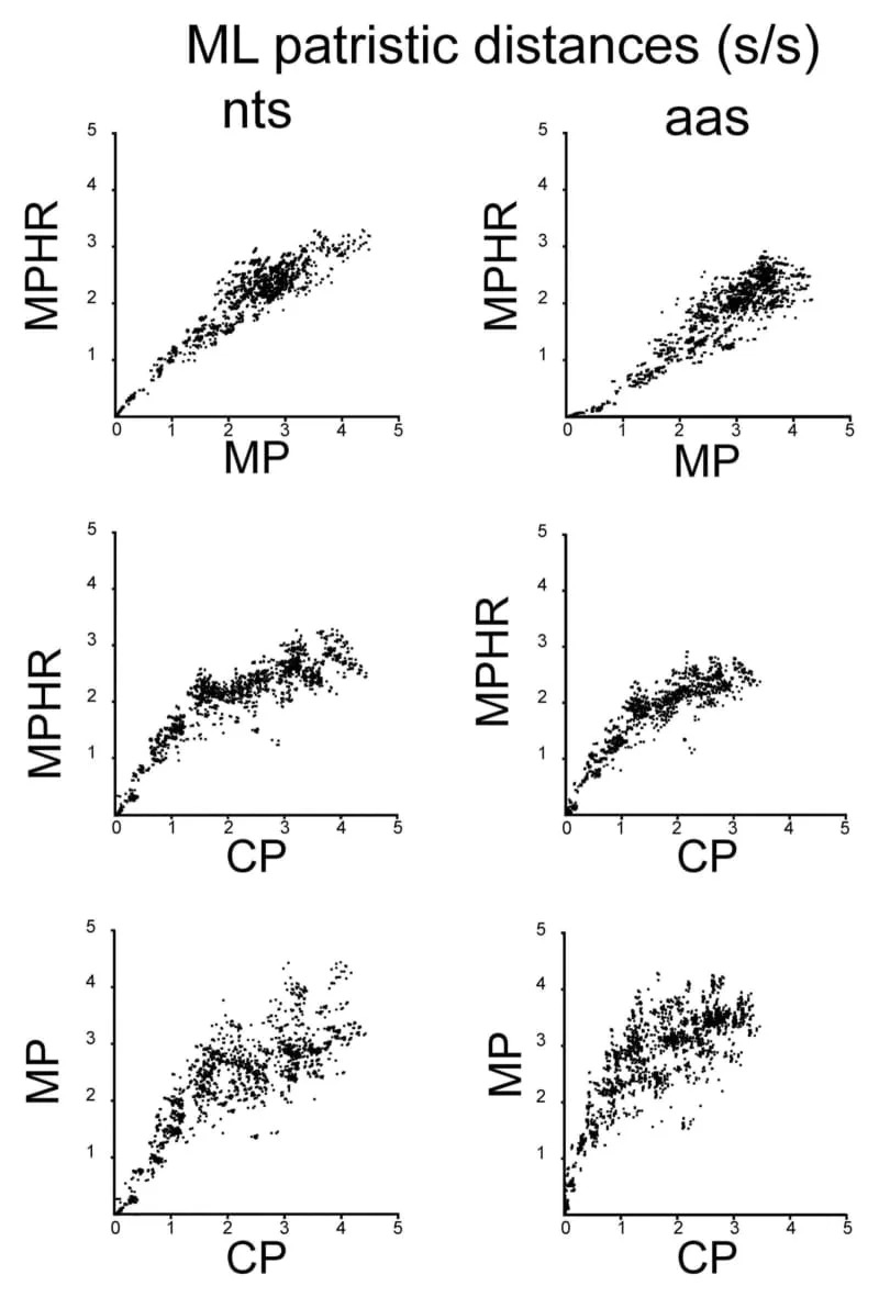 Tajmovirusi potiču iz poslednjeg ledenog doba — 23.000 godina evolucije i savremeni rizici za useve