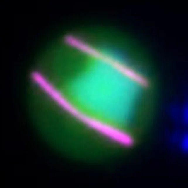 Jedan Protein Otkriva Slabu Tačku Malarije — ARK1 Kao Nova Meta Za Antimalarijske Lekove