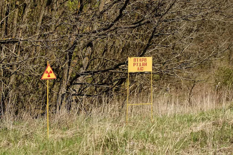 Černobiljski vukovi: Genetska otpornost koja budi nadu u borbi protiv raka