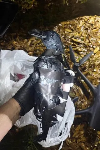 Drone and Fake Crow Decoys Used in Alleged $40,000 Prison Smuggling Plot — Two Texas Women Arrested