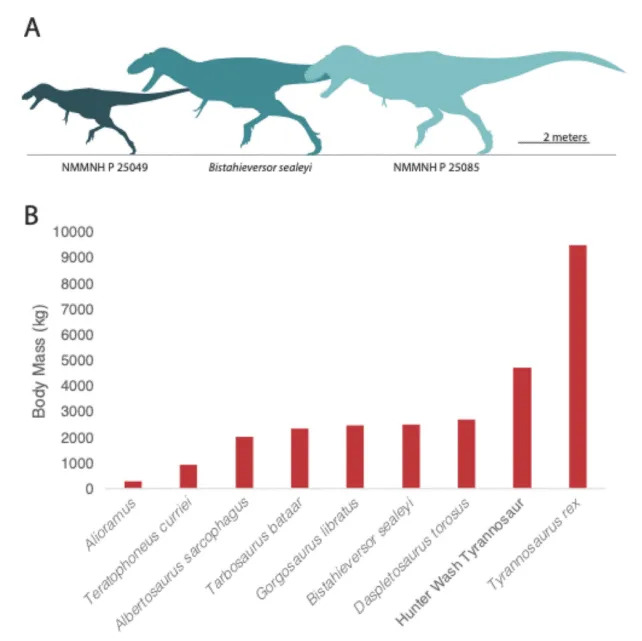 Džinovski tiranosaur iz Novog Meksika (74 miliona god.) — Najstariji veliki tiranosaur u Severnoj Americi