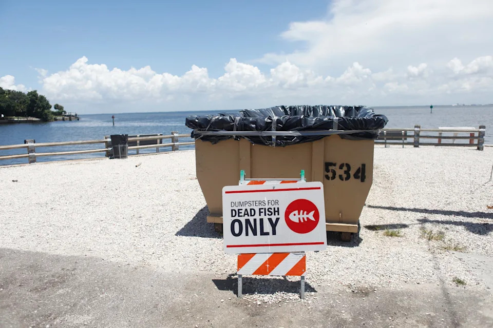 Naučnici USF-a Razvili Fotoreaktivan Materijal Koji Usporava 'Red Tide' — Ali Poljska Primena Još Čeka