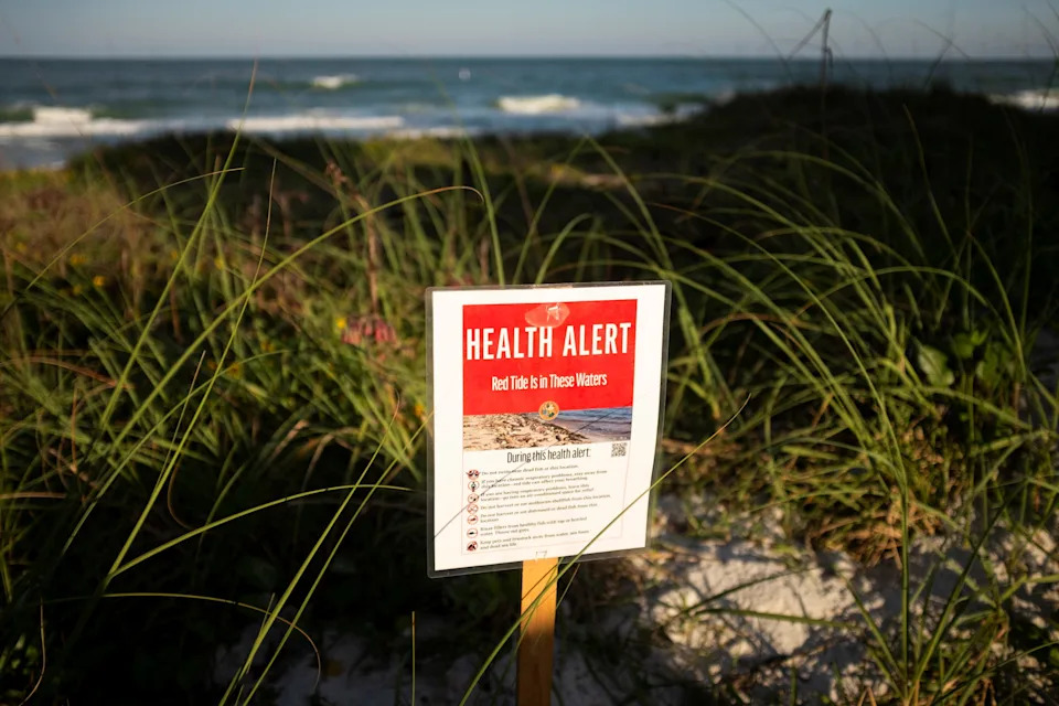 Naučnici USF-a Razvili Fotoreaktivan Materijal Koji Usporava 'Red Tide' — Ali Poljska Primena Još Čeka