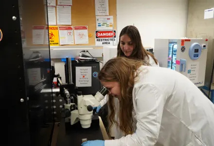 Naučnici USF-a Razvili Fotoreaktivan Materijal Koji Usporava 'Red Tide' — Ali Poljska Primena Još Čeka