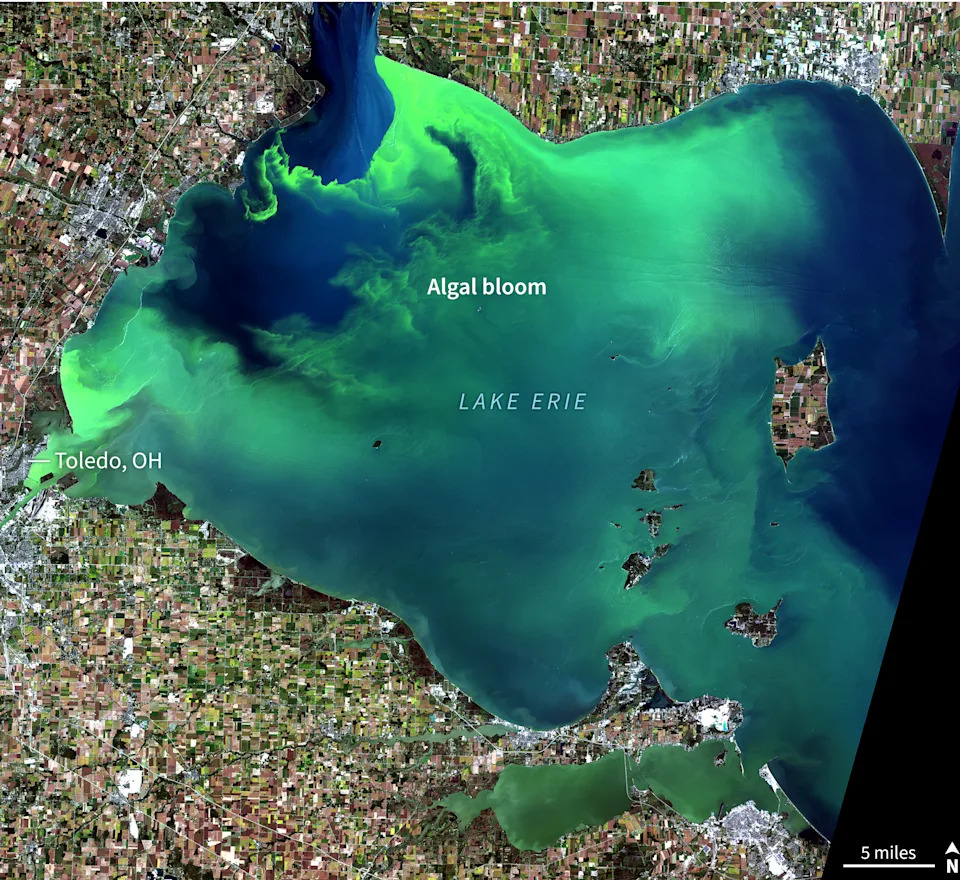 Naučnici USF-a Razvili Fotoreaktivan Materijal Koji Usporava 'Red Tide' — Ali Poljska Primena Još Čeka