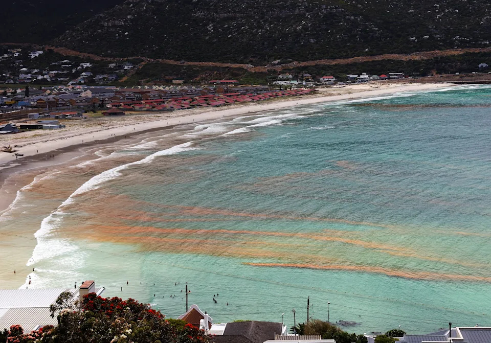 Naučnici USF-a Razvili Fotoreaktivan Materijal Koji Usporava 'Red Tide' — Ali Poljska Primena Još Čeka