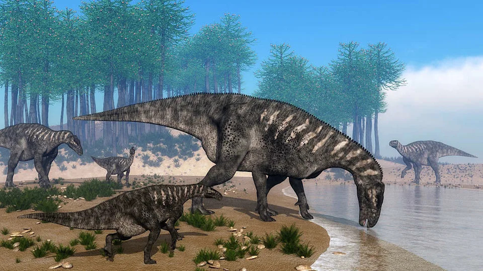 Meet Istiorachis macarthurae — A New 18‑Foot Sail‑Backed Dinosaur From the Isle of Wight