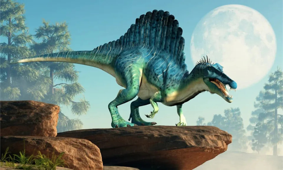 Meet Istiorachis macarthurae — A New 18‑Foot Sail‑Backed Dinosaur From the Isle of Wight