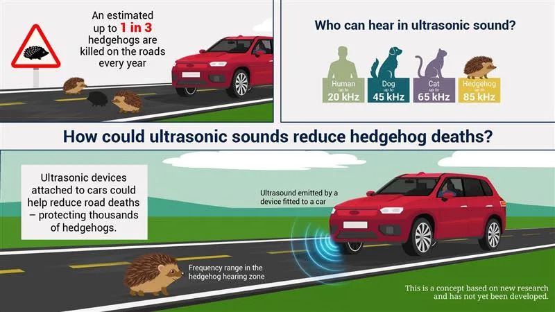 Istraživanje iz Oksforda: Ultrazvuk Može Pomoći U Zaštiti Evropskih Ježeva