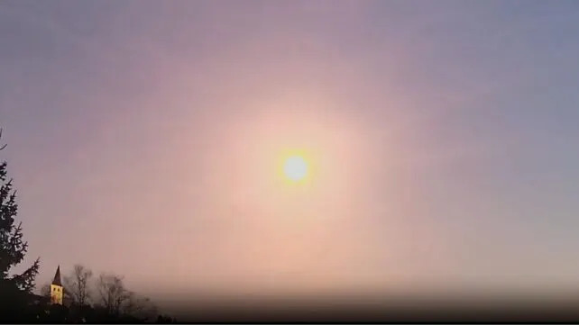 Ove Nedelje U Nauci: Vatrena Kugla, UV-Sjaj Na Krošnjama, Poliamini I Bumbari