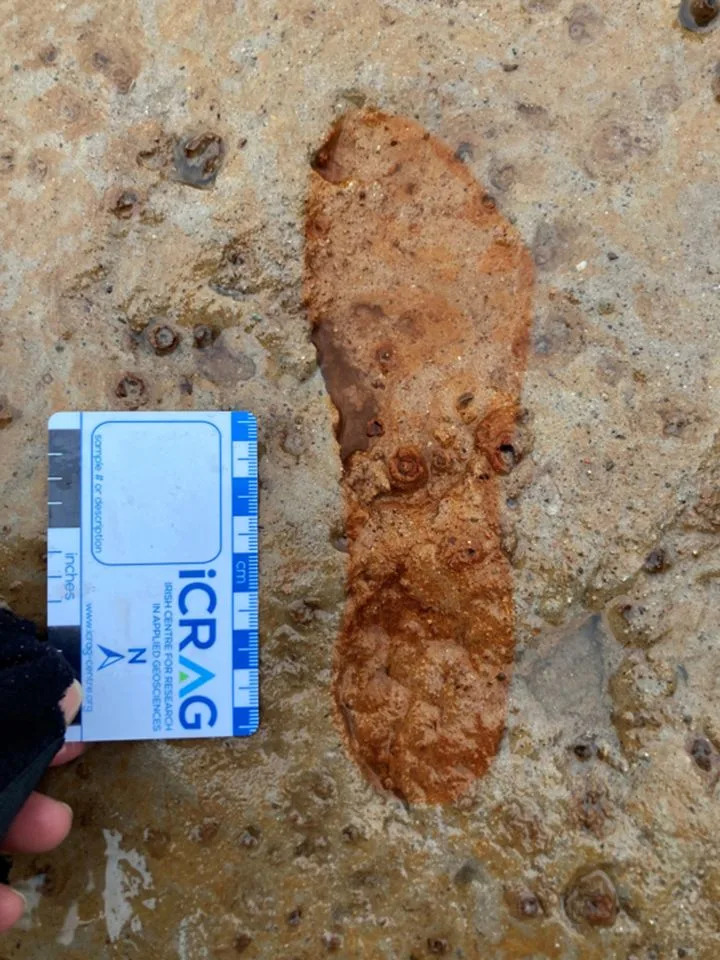 2,000-Year-Old Footprints Exposed at Lunan Bay Prompt Emergency Excavation — Then Were Lost to the Sea