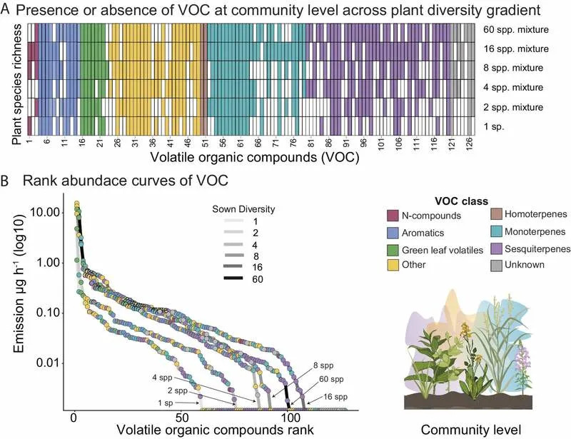 Naučnici Otkrili „Nevidljivi Jezik“ Biljaka: Kako Raznolikost Menja Oblak Mirisa