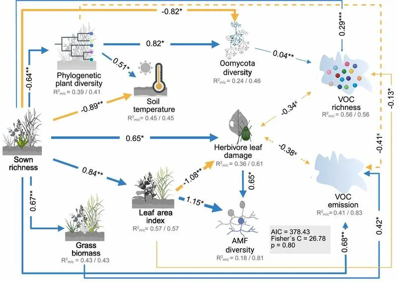 Naučnici Otkrili „Nevidljivi Jezik“ Biljaka: Kako Raznolikost Menja Oblak Mirisa