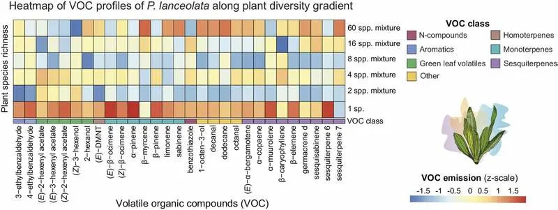 Naučnici Otkrili „Nevidljivi Jezik“ Biljaka: Kako Raznolikost Menja Oblak Mirisa