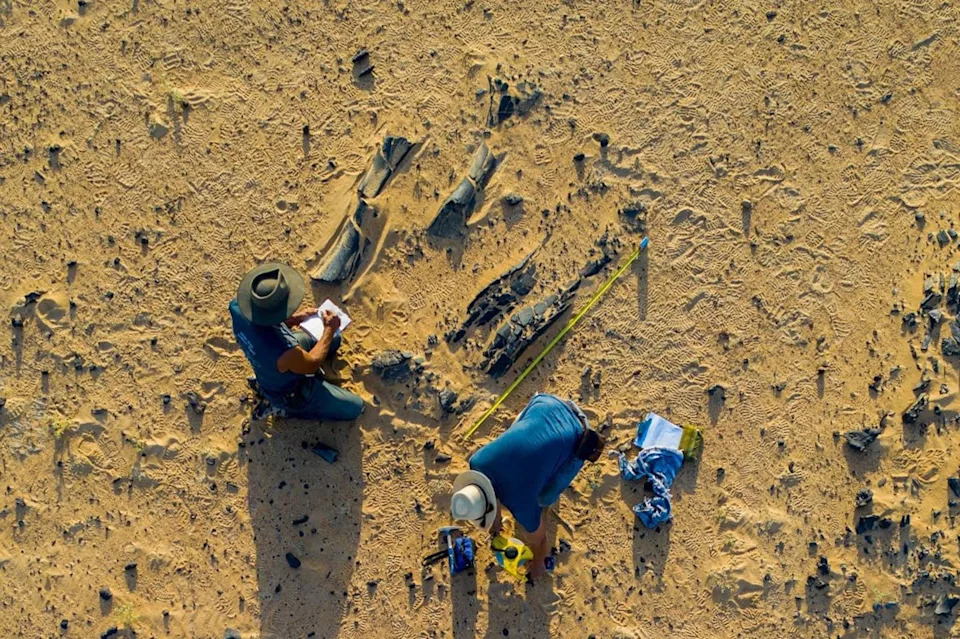 Kako je stara francuska mapa dovela do otkrića vrste Spinosaurus mirabilis u Sahari