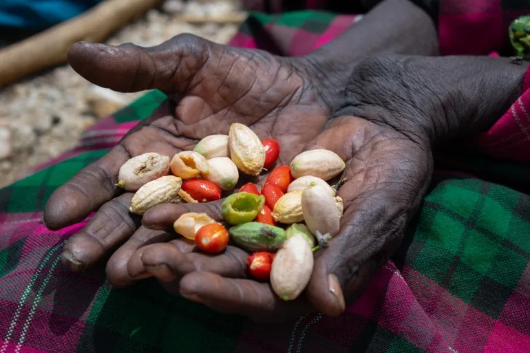 „Kako da preživim?“ Suša u Turkani: Nestašica vode i hrane dok drugde propada višak