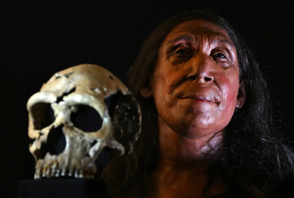 Neanderthals Hunted Giant Straight‑Tusked Elephants That Roamed Up To 300 km Across Europe