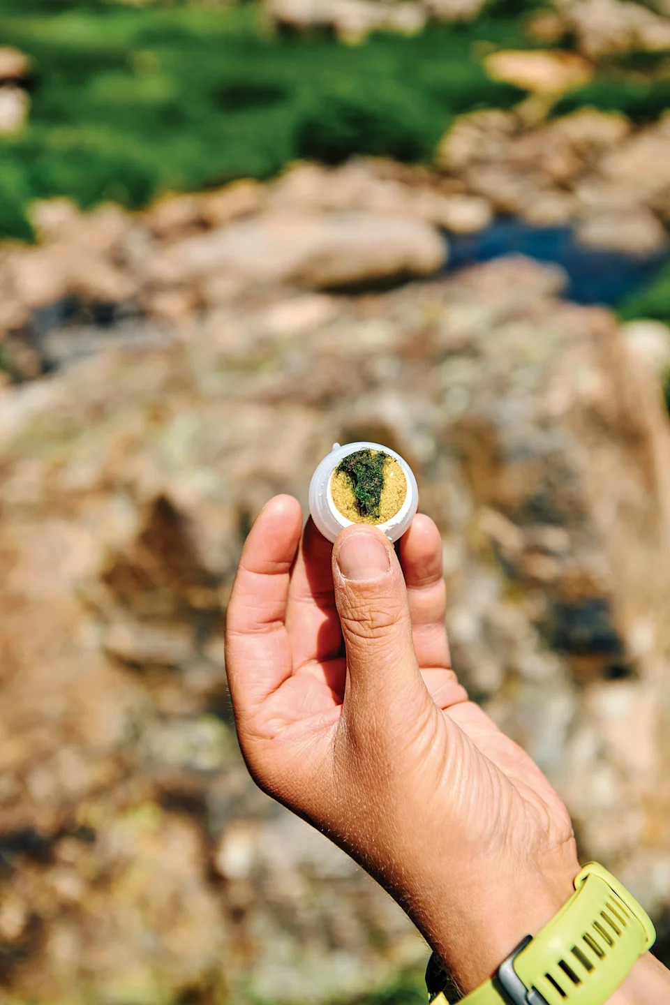 Zašto visinska jezera Stenovitih planina postaju zelena: naučnici objašnjavaju rast algi i rizike za ekosisteme