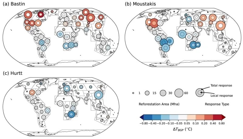 Milijarda Stabala Neće Sama Spasiti Klimu — Prava Mesta Mogu