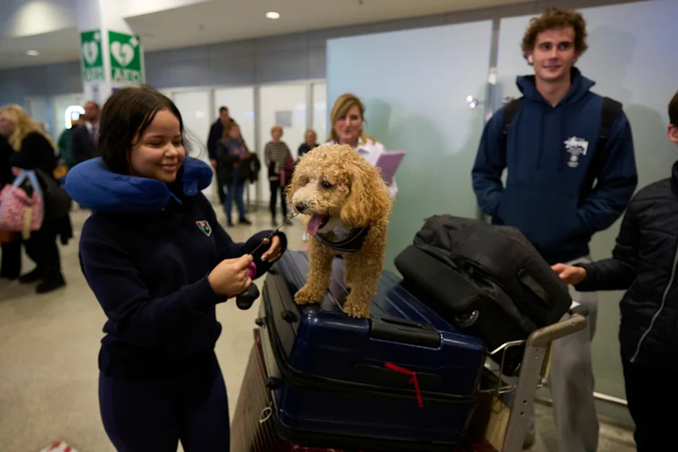 Emotivna Evakuacija: Grčka Dovezla 45 Ljubimaca I 101 Putnika Iz Bliskog Istoka