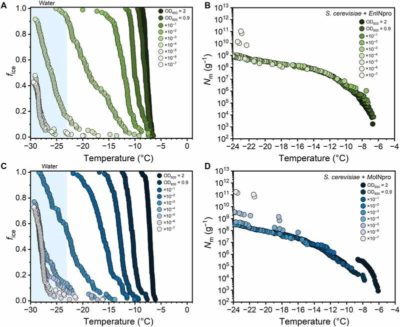 Gljive Koje „Prave