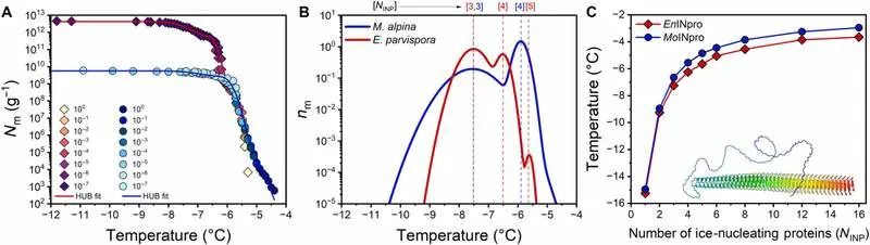 Gljive Koje „Prave