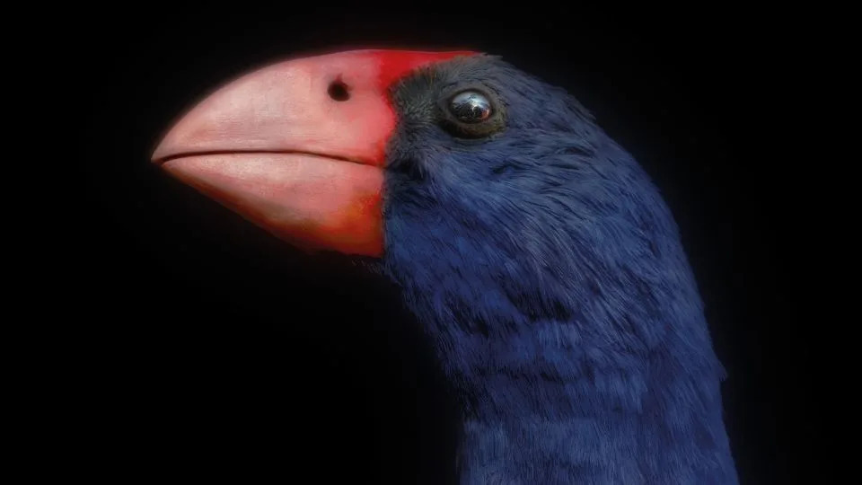 Polluting Power Plants, Longevity Tips, ‘Hell Heron’: Catch Up on Today’s Top Stories