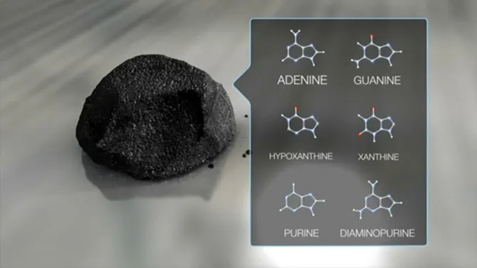Asteroid Ryugu Sadrži Sva Pet Nukleotidna Slova — Novi Tragovi O Poreklu Života