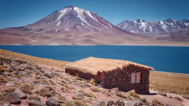 Neobična Genetska Prednost: Kako Su Stanovnici Anda Postali Tolerantni Na Arsenik