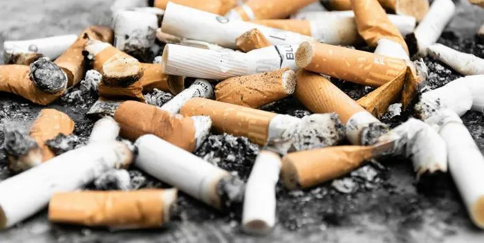 Zašto ptice koriste opuške cigareta u gnezdima — kratkoročna zaštita, dugoročni rizici