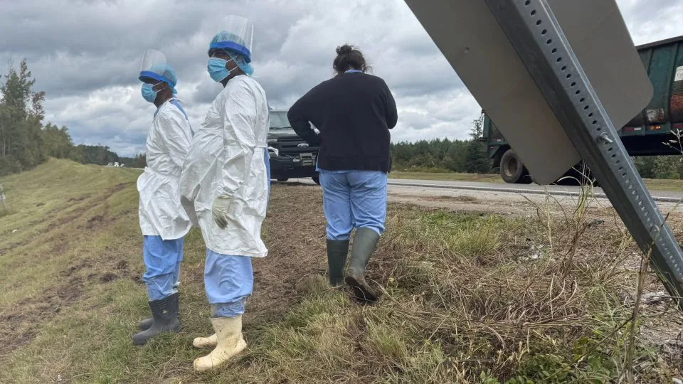 FDA I NIH Podižu Pritisak Na Prestanak Testiranja Na Životinjama — Tehnologija Još Ne Može Da Popuni Prazninu