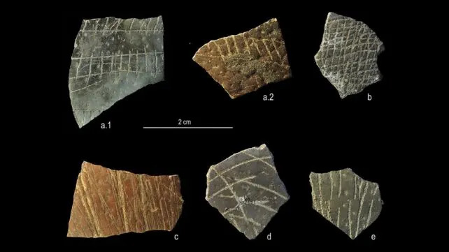 Drevni Fragmenti Mogu Biti Najstarija Poznata Geometrija — Otisci Nojevih Jaja Stari Oko 60.000 Godina