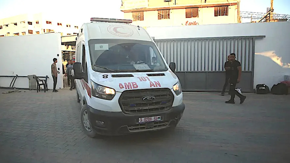 Istraživanja Pokazuju: Među 