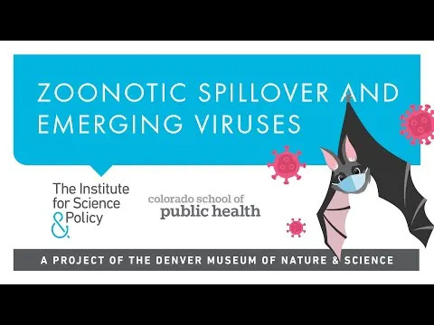 Većina Virusa Koji Prelaze Na Ljude Nije Imala Posebne Mutacije Pre Skoka, Pokazuje Studija