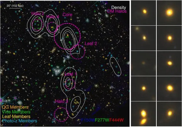 Provera činjenica: Slika 'Cosmic Vine' u obliku heliksa nije zvanična