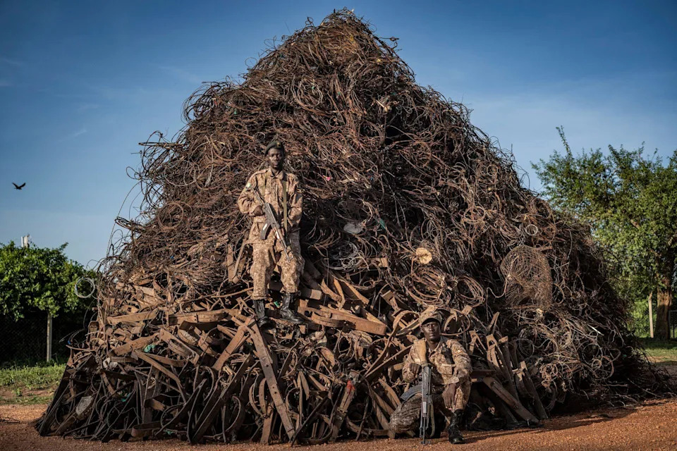 Razigrani iberijski ris 