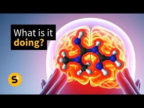 Posle 60 godina otkriveno: Metformin deluje i u mozgu i otvara put novim terapijama