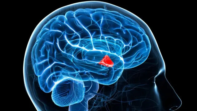 Posle 60 godina otkriveno: Metformin deluje i u mozgu i otvara put novim terapijama