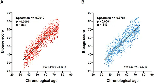 Studija: 10 biomarkera u krvi otkrivaju ubrzano biološko starenje