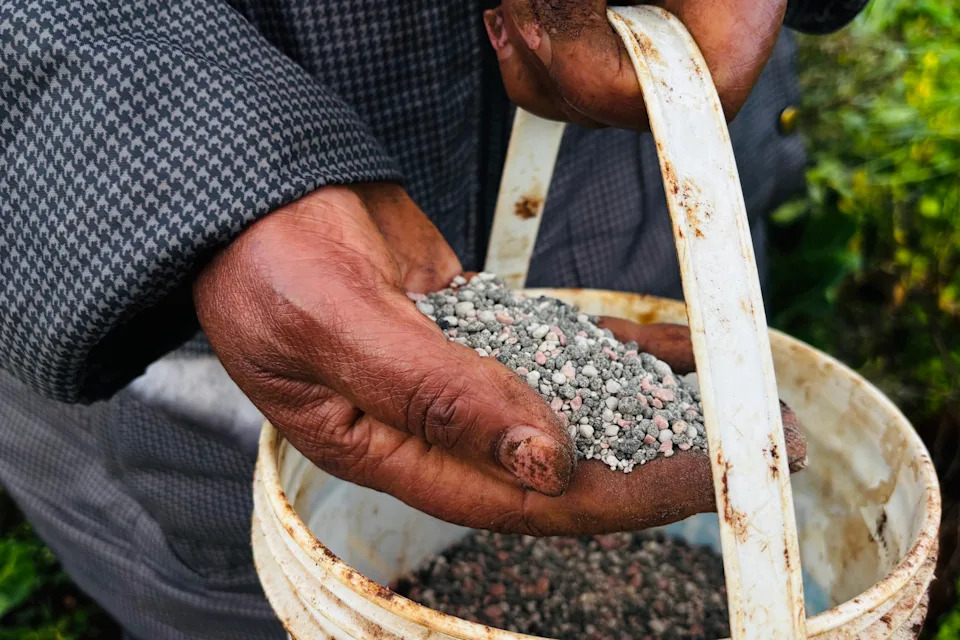 Kriza u Iranu Preti Globalnom Nedostatku Đubriva i Poskupljenju Hrane