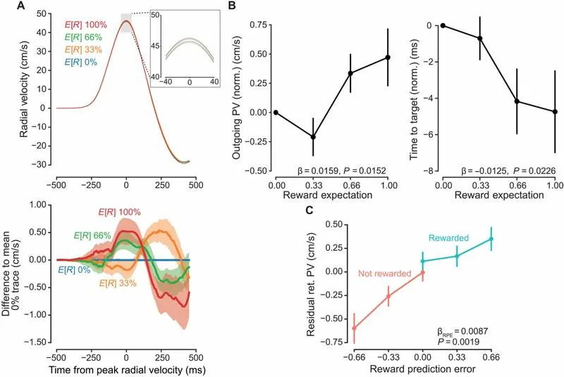 Dopamin Menja Brzinu Pokreta: Kako Očekivanje i Iznenađenje Ubrzavaju Naše Pokrete
