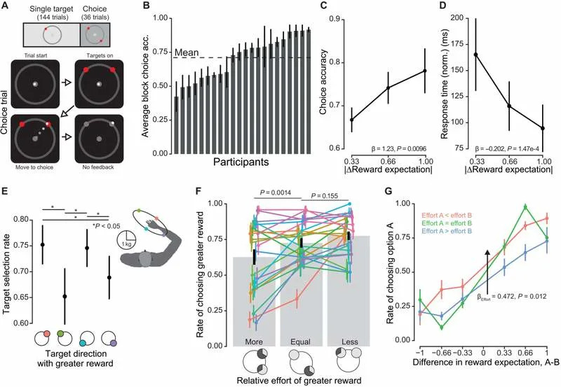 Dopamin Menja Brzinu Pokreta: Kako Očekivanje i Iznenađenje Ubrzavaju Naše Pokrete