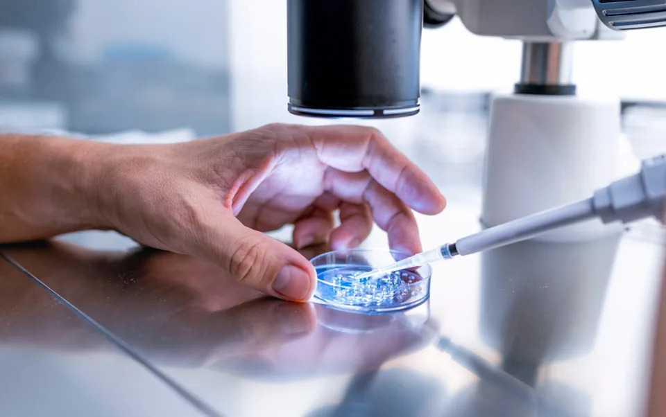 Spermatozoidi Na Poligonu Prepreka: Koliko Je Reprodukcija Moguća U Svemiru?