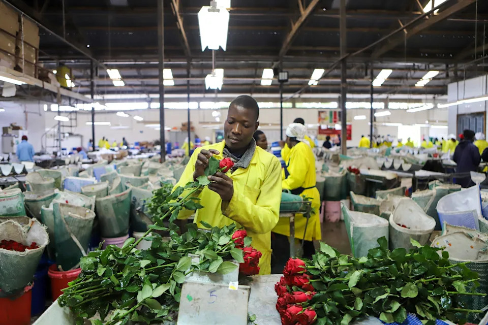 Afrika Pod Pritiskom: Porast Cena Goriva Nakon Sukoba Na Bliskom Istoku Pogađa Kontinent