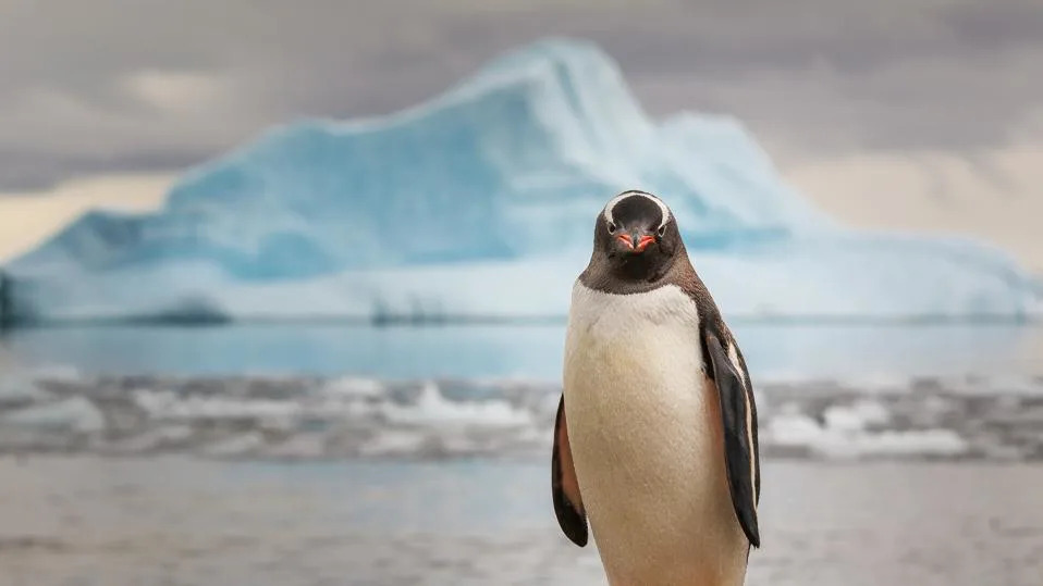 Zašto Je JD Vance Nazvao Vanzemaljce „Demonima“ — Šta Je Rekao i Zašto Je To Važno