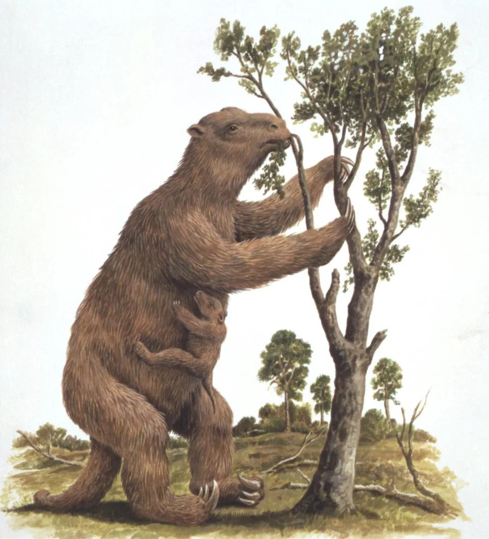 Upoznajte džinovske lenjivce koji su oblikovali avokado — kako su izumrli disperzeri ostavili voće kao vremensku kapsulu